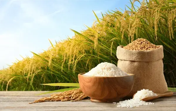 white-rice-paddy-on-wooden-600nw-2327023389.webp