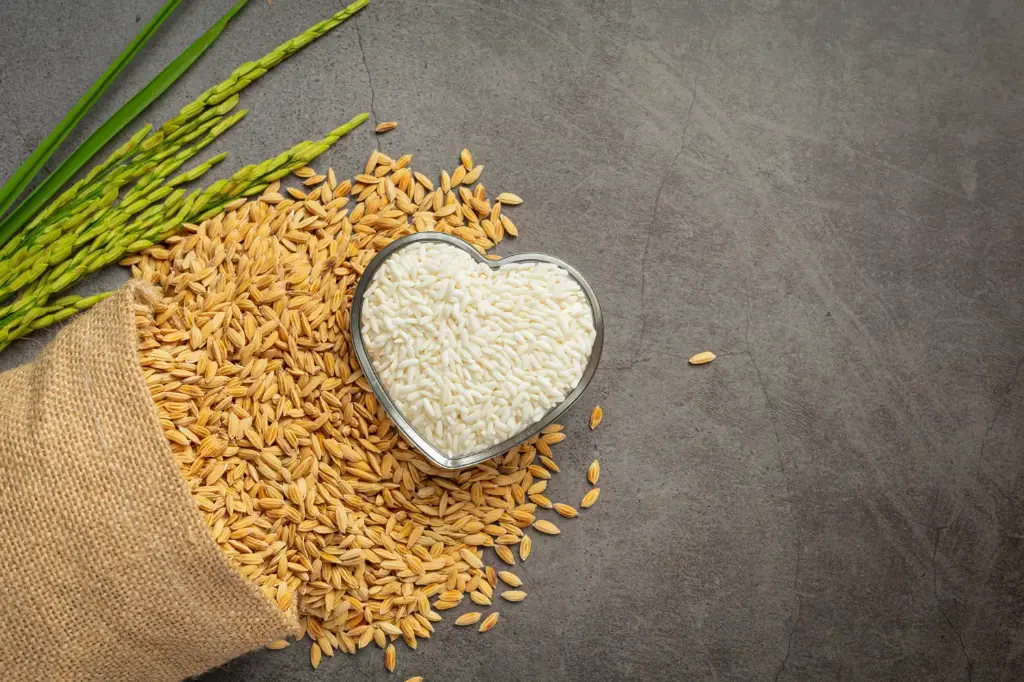 sack-rice-seed-with-white-rice-small-glass-bowl-rice-plant.webp